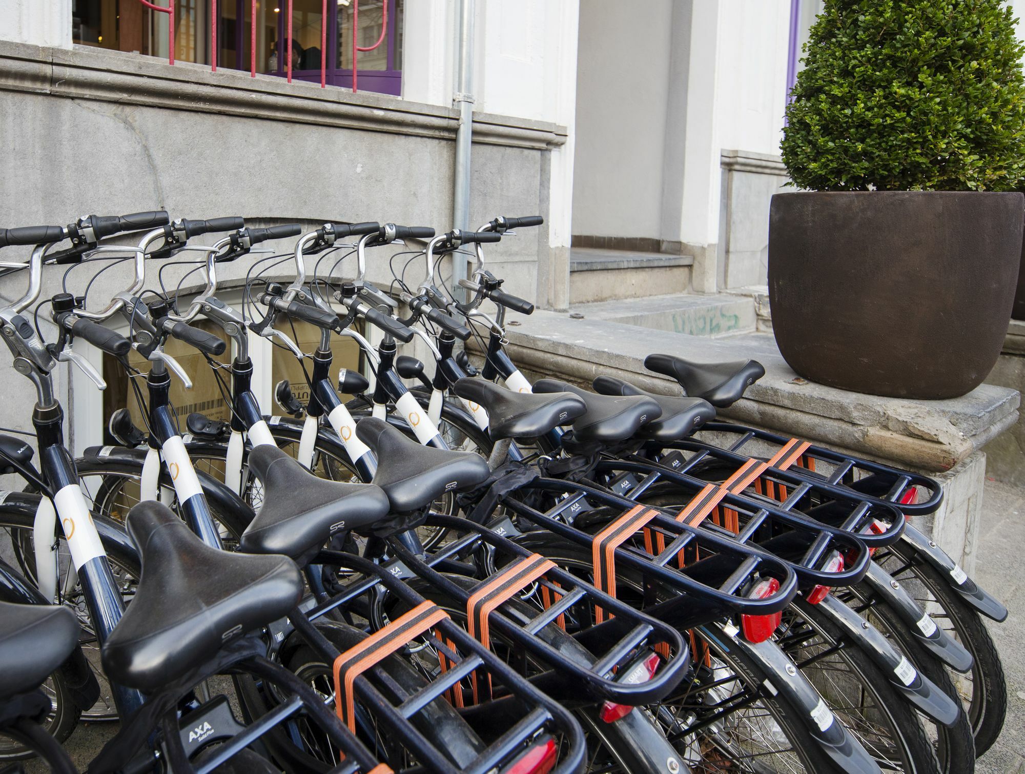 Quentin Zoo Hotel Amsterdam Ngoại thất bức ảnh